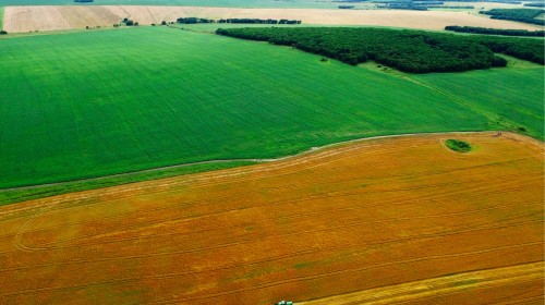 В Приморье планируют рассматривать около тысячи заявок на гектар в сутки